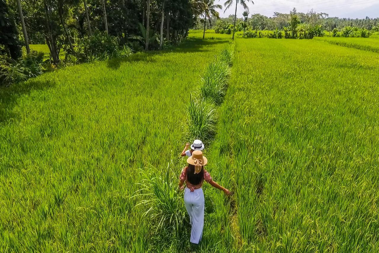 Puri Lumbung Village Payangan Exterior foto